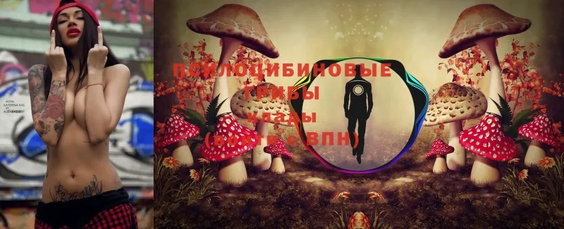 Галлюциногенные грибы Psilocybe  Бикин 